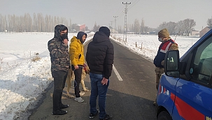 Kaybolan köpeği Jandarma buldu