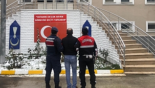 Kayısı hırsızı yakalandı!