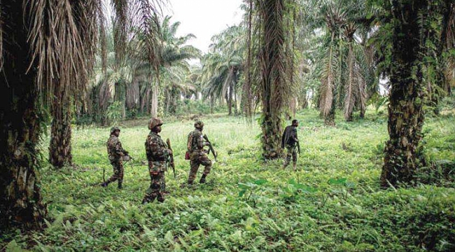 Kongo'da 6 korucu öldürüldü 