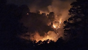 Of ilçesinde örtü yangınları