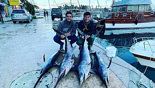Oltaya takılan dev balık balıkçıları şaşırttı 