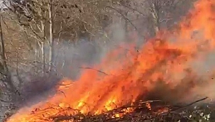 Ordu'da ormanlık alanda yangın 