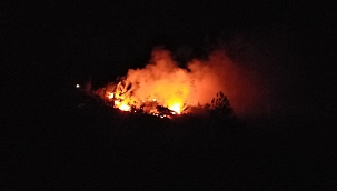 Orman yangını söndürüldü 