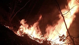 Orman yangınını köylüler söndürdü 