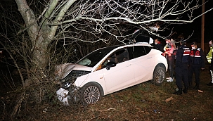 Otomobil ağaca çarptı: 1 yaralı