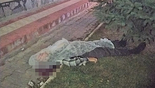 Pencereden düşen yaşlı öldü