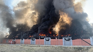 Şanlıurfa'da lojistik deposunda yangın 