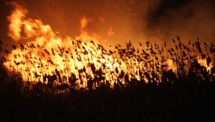 Sazlık yangını kontrol altına alındı