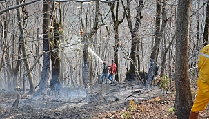 Sigara izmariti 20 dönüm alanı yaktı 