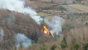 Sinop'taki orman yangını söndürüldü 