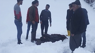 Traktör şarampole yuvarlandı: 3 yaralı