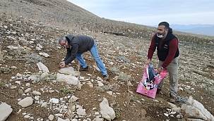 Yaban hayvanlarına yem bırakıldı 