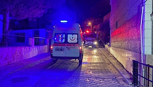 Yangına uykuda yakalandılar 