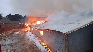 Yangında 30 küçükbaş hayvan telef oldu