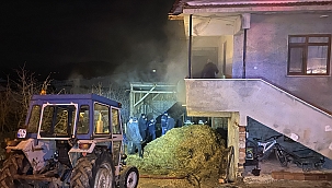 Yangında dumandan etkilendiler 