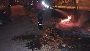Yaprak yangını büyümeden söndürüldü 