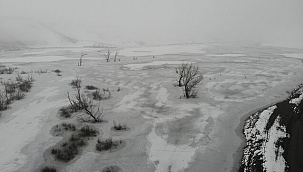 ABD'de göldeki ağaçlar dondu 