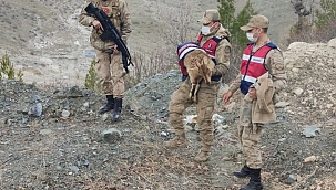 Adıyaman'da yaralı dağ keçisi bulundu 