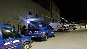 Ağaç keserken canından oldu 