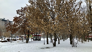 Ağrı dondurucu soğuklara teslim oldu 