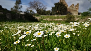 Baharın müjdecisi cemre havaya düştü 