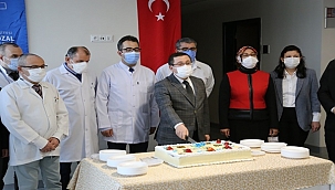 Bin birinci nakil de başarıyla yapıldı!