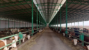 "Bin kişiye istihdam kapısı olacak"