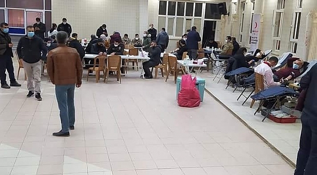 Doğanşehir'de kan bağış rekoru kırıldı 