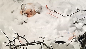 Eksi 10 derece narkozla ölüm uykusu 