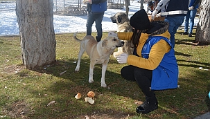 Gençler sokak hayvanlarını unutmuyor 