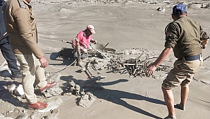 Hindistan'da sel felaketi: 7 ölü 