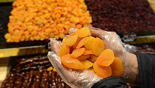 İhracatta kuru kayısı önde! 