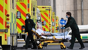 İngiltere'de 258 can kaybı daha 