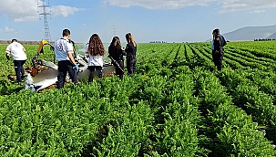 İsrail'de uçak araziye düştü: 2 ölü