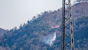 Japonya'daki orman yangını 