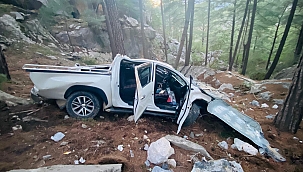 Kamyonet uçurumdan yuvarlandı