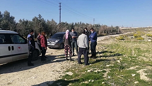 Kangal cinsi 3 köpek ölü bulundu 