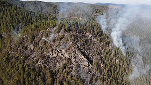 Kastamonu'da 2 ayrı orman yangını