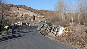 Kereste yüklü tır devrildi: 1 yaralı 