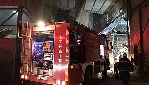 Kontrplak fabrikasında korkutan yangın 