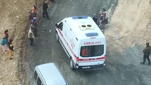 Köpeklerin saldırdığı kadın yaralandı