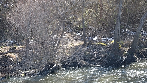 Nehirde erkek cesedi bulundu!