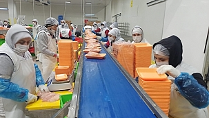 Orta Doğu'nun tavuğu Malatya'dan! 