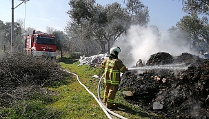 Ot yangını ağaçlara zarar verdi