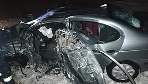 Otomobil kontrolden çıktı: 2 yaralı 