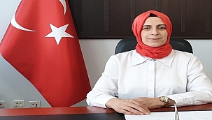 Sokak hayvanları için yeni yaşam alanı önerisi 