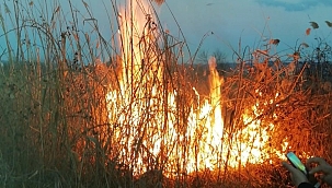 Tavşanlı'da anız yangını! 