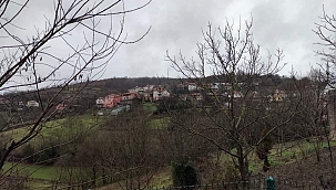 Traktör devrildi eşini kaybetti