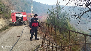Türkeli'de anız yangını: 1 yaralı 