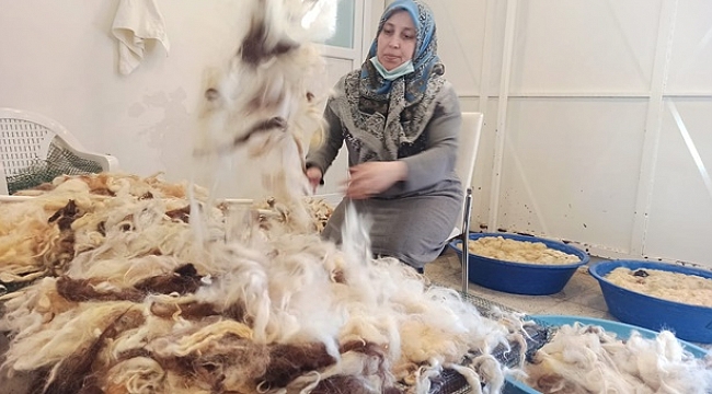 Üç yıl önce amatör olarak başladılar!